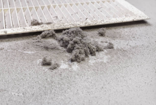 Best Professional Duct Cleaning Services  in Des Moines, IA