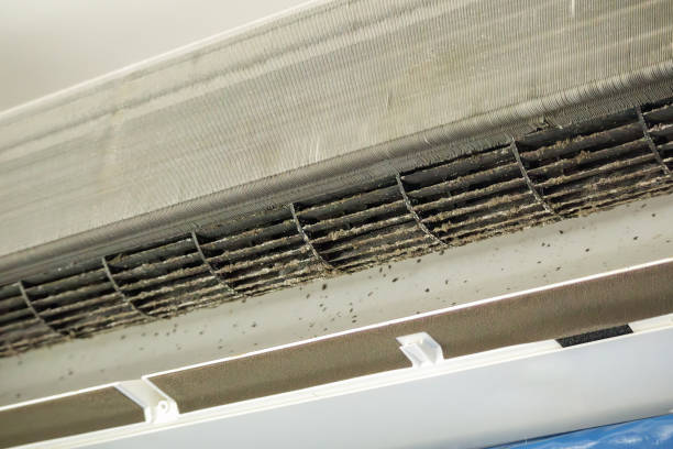 Best Affordable HVAC Duct Cleaning  in Des Moines, IA
