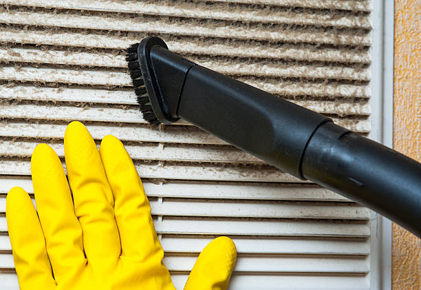 Best Air Duct Mold Removal  in Des Moines, IA